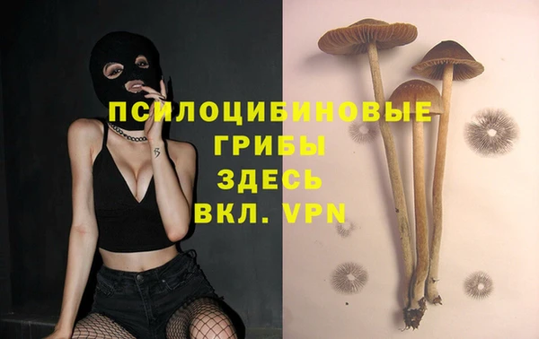 MDMA Пересвет
