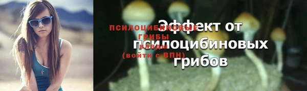 индика Саяногорск