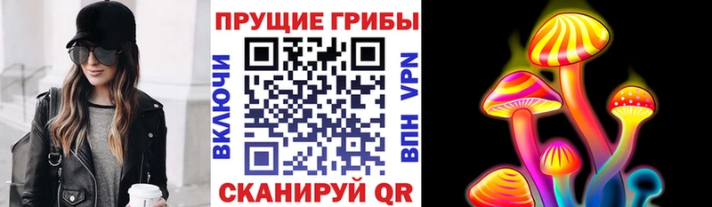 Галлюциногенные грибы мицелий  продажа наркотиков  OMG зеркало  Алатырь 