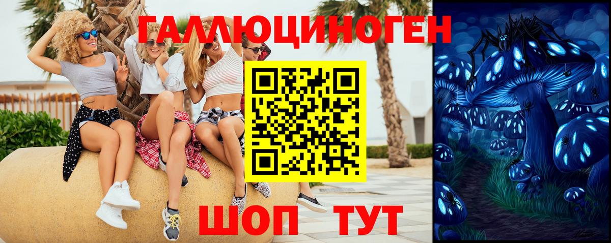 А ПВП Алатырь