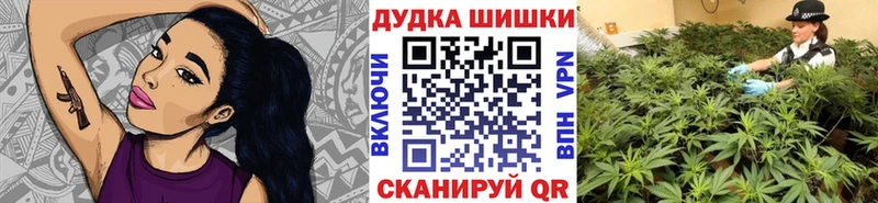Конопля гибрид  Алатырь 