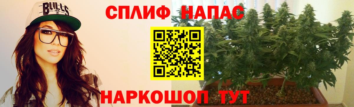 Каннабис LSD WEED  Алатырь  Конопля OG Kush  Бошки марихуана THC 21% 